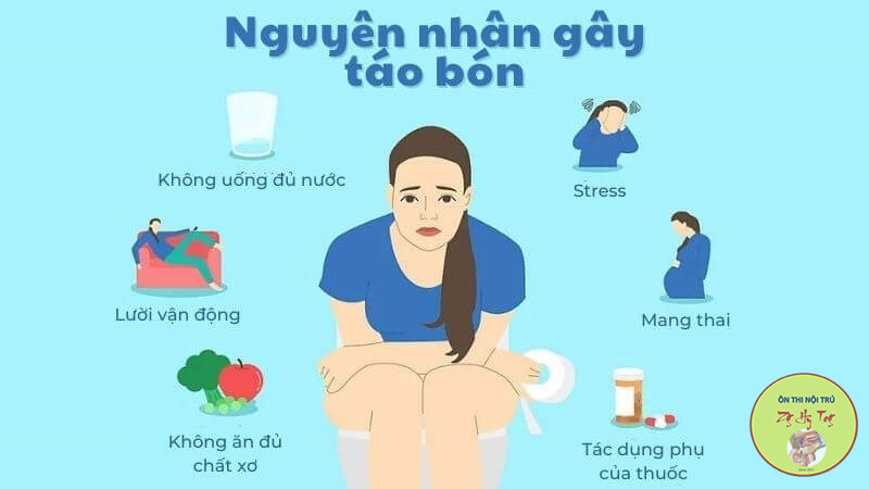 TÁO BÓN