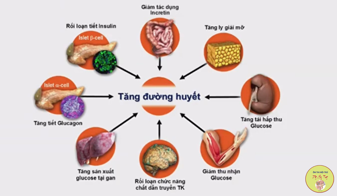 CHIẾN
